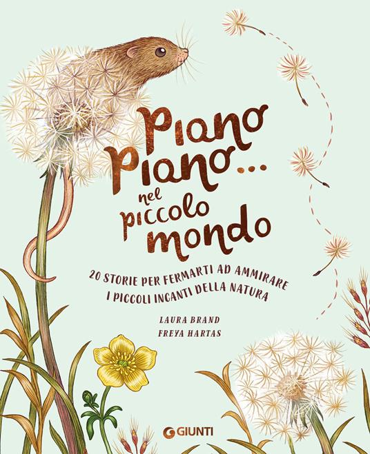 Piano piano... nel piccolo mondo. 20 storie per fermarti ad ammirare i piccoli incanti della natura.