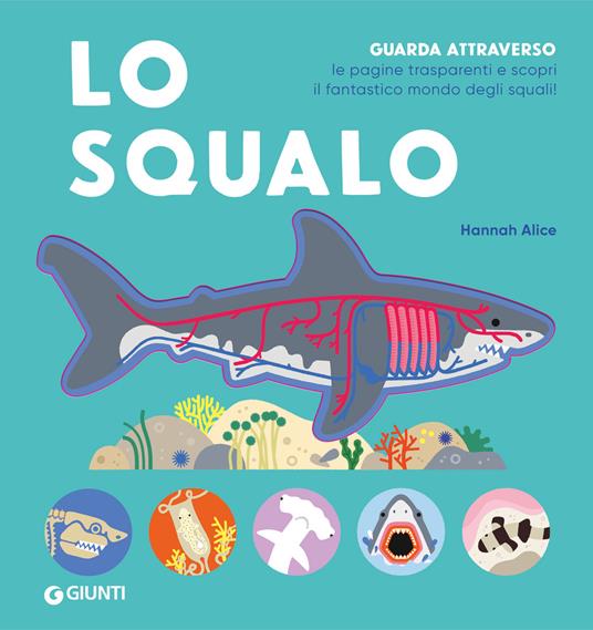 Lo squalo.