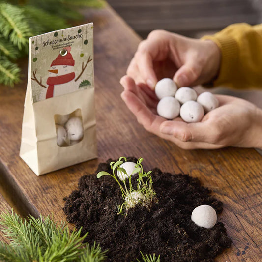 Bombe di semi - pupazzo di neve