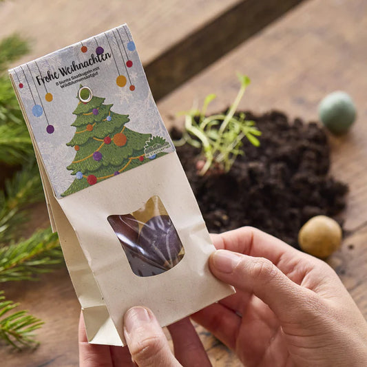 Bombe di semi albero