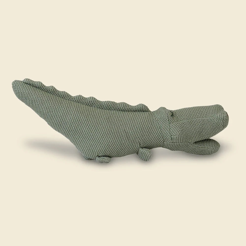 Croc the Crocodile