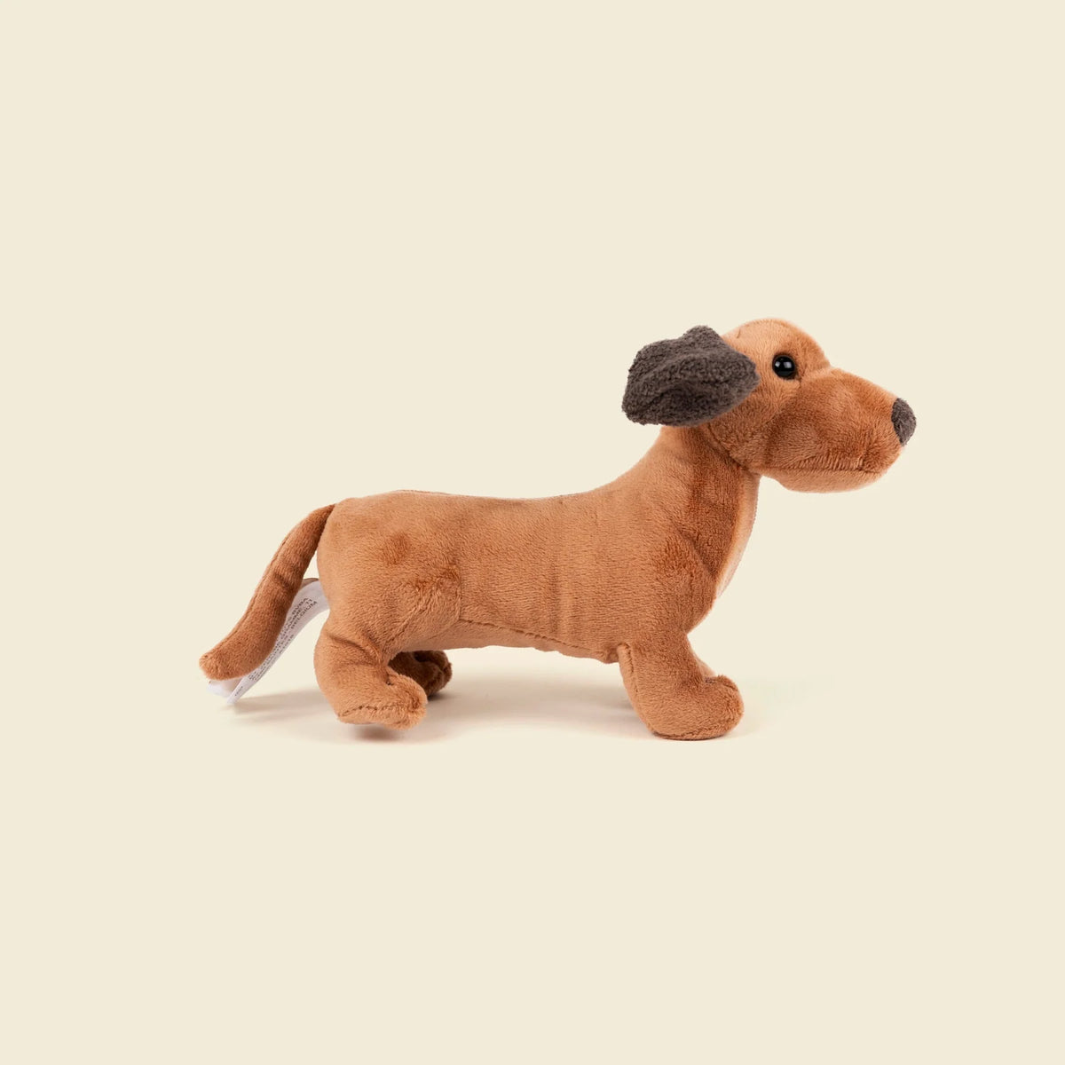Edward the Dachshund