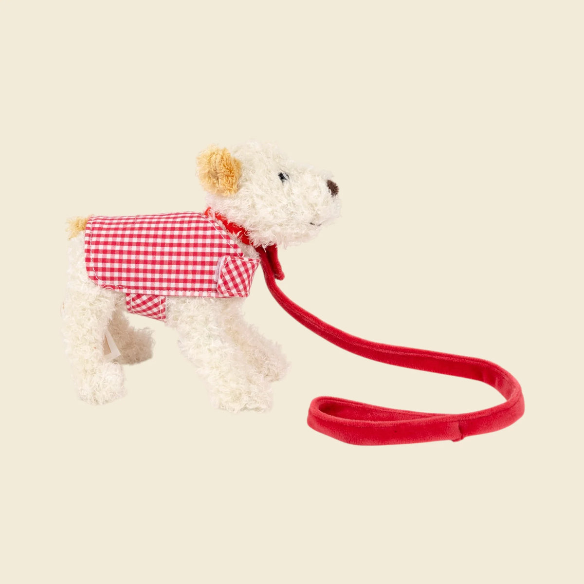 Mini Eliot with leash and coat