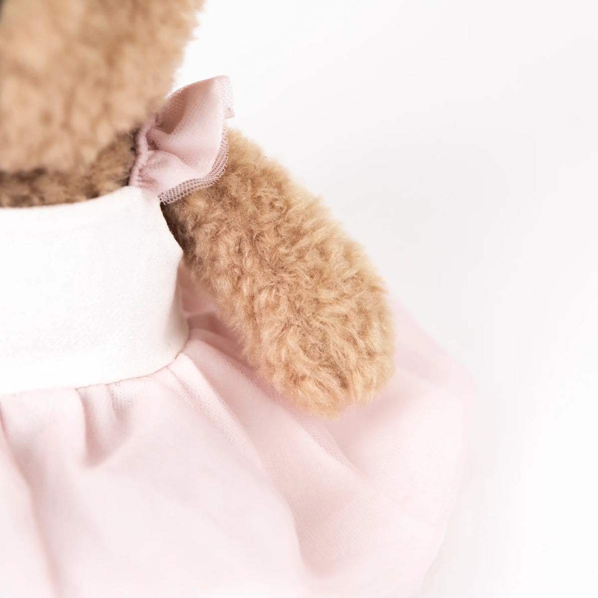 Dancer bear gift box