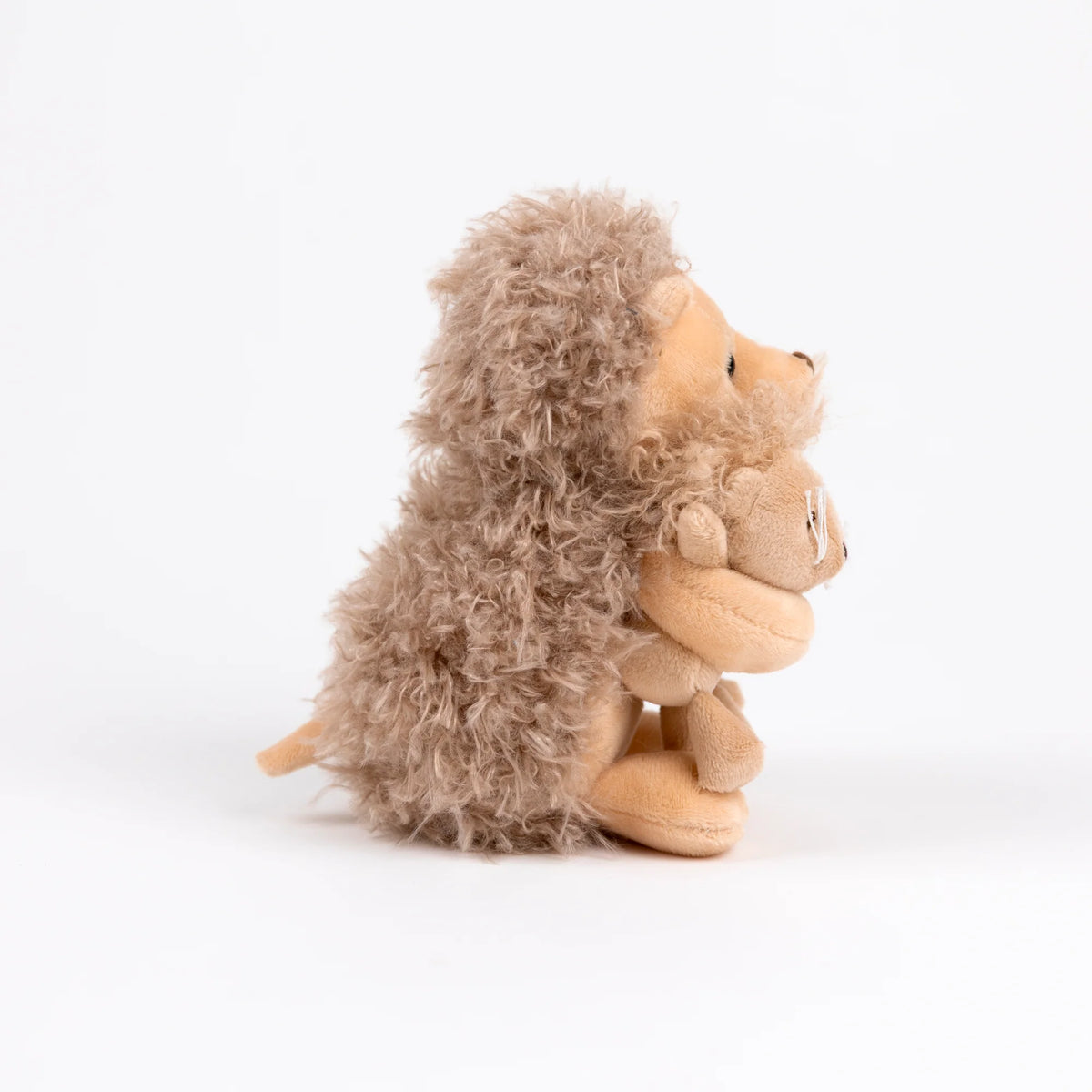 Hedgehog with twins