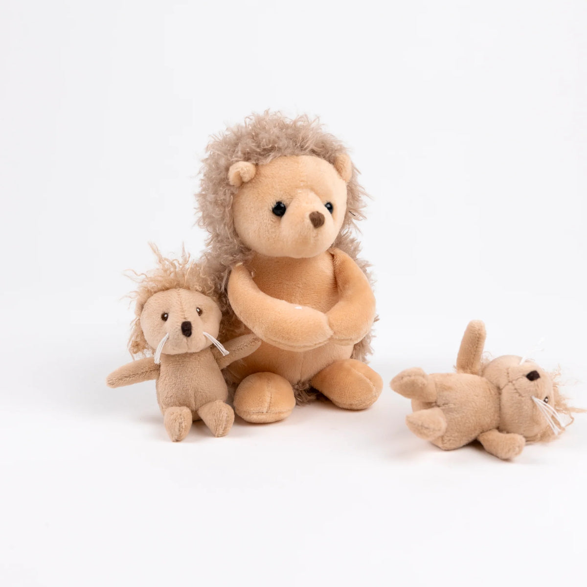 Hedgehog with twins