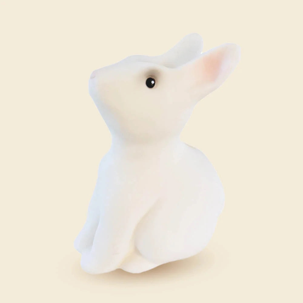 Salvadanio rabbit