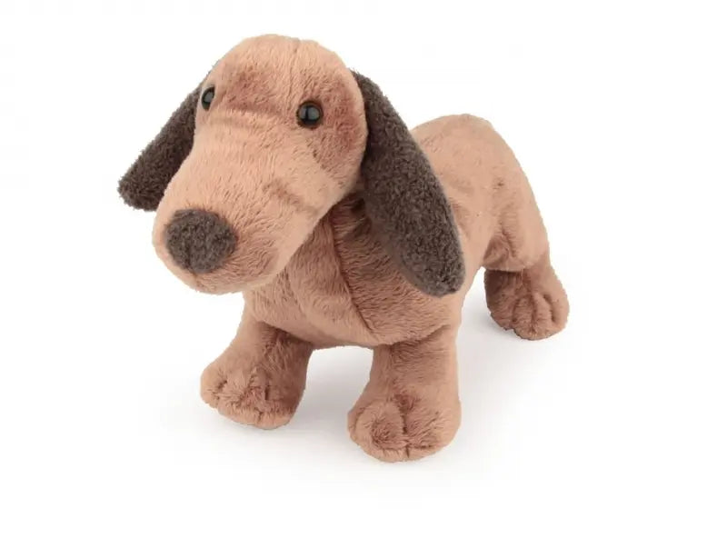 Edward the Dachshund