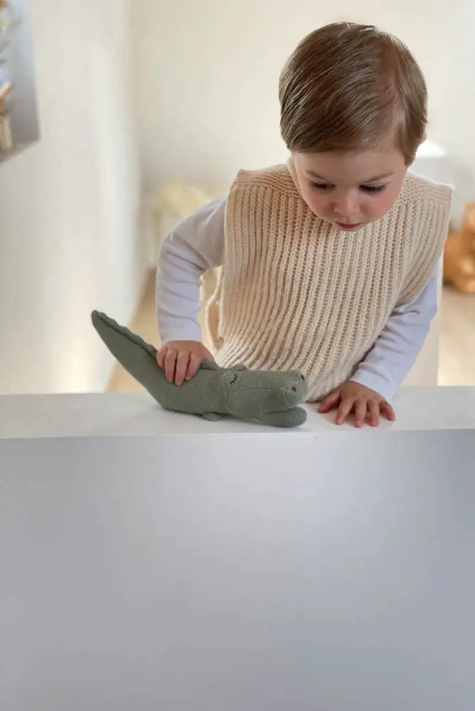 Croc the Crocodile