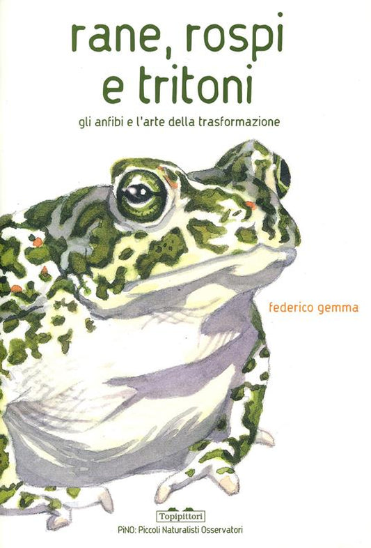 Rane, rospi e tritoni. Gli anfibi e l'arte della trasformazione.