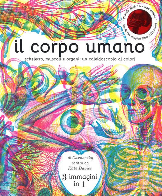 Il corpo umano. Scheletro, muscoli e organi: un caleidoscopio di colori.