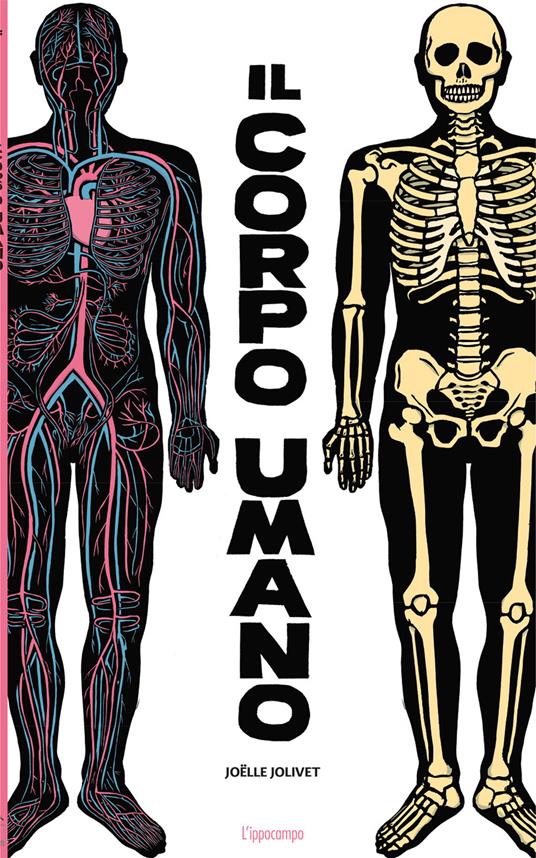 Il corpo umano.