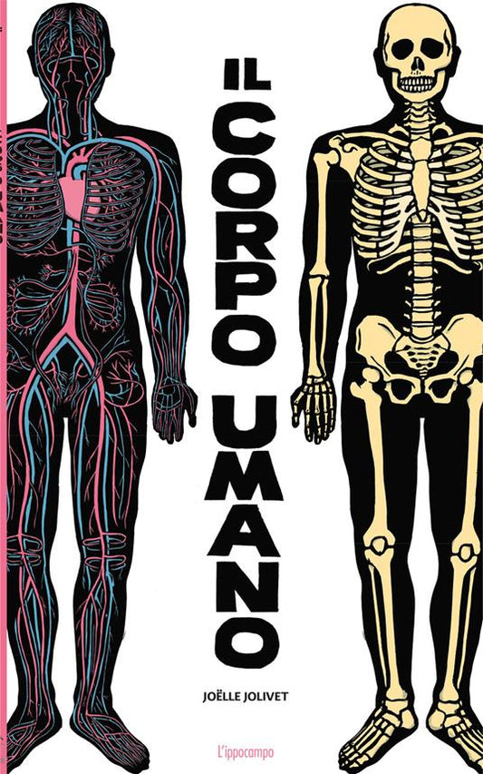 Il corpo umano.