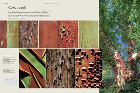 Cortecce. Viaggio nell'intimità degli alberi del mondo