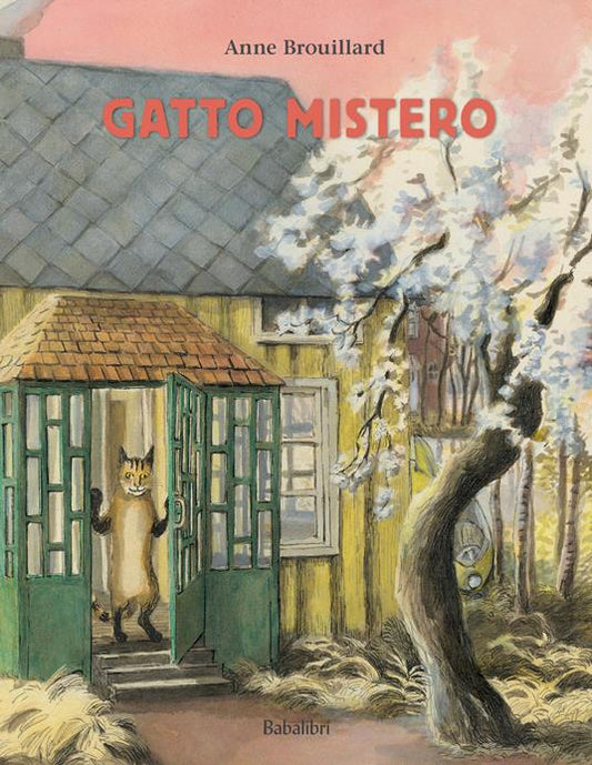 Gatto mistero.