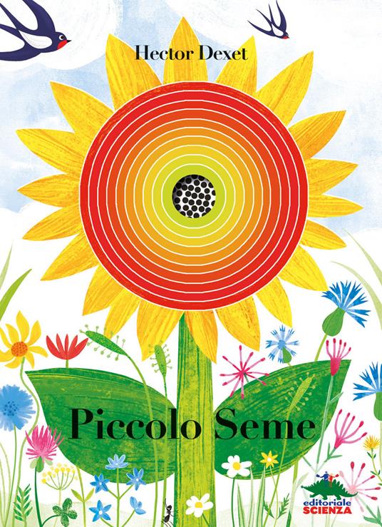 Piccolo seme.