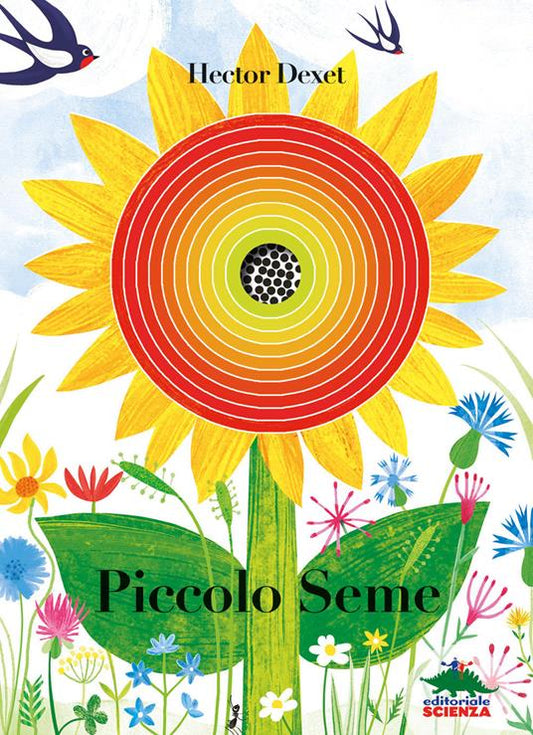 Piccolo seme.