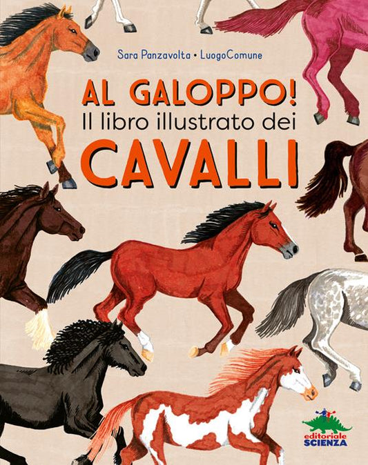 Al galoppo! Il libro illustrato dei cavalli.