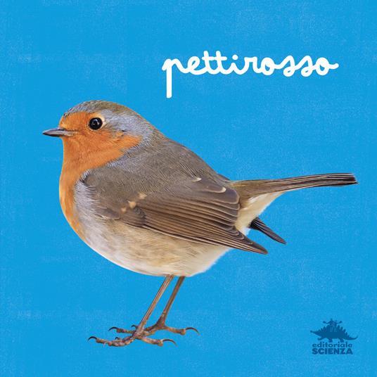 Pettirosso.