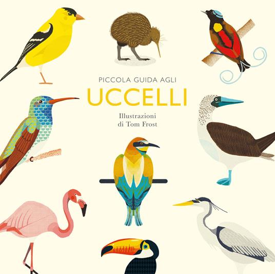 Piccola guida agli uccelli.