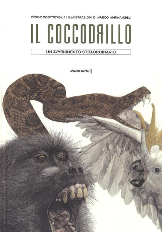 Il coccodrillo. Un avvenimento straordinario