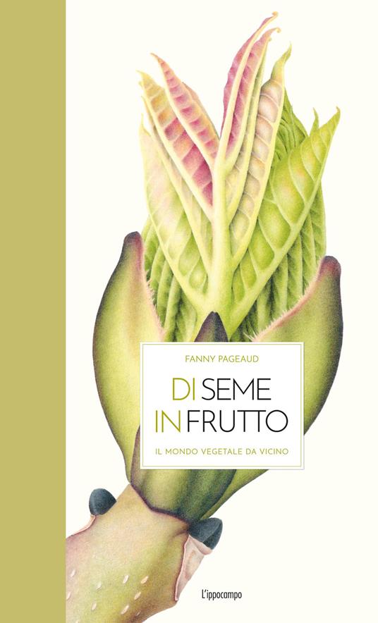 Di seme in frutto. Il mondo vegetale da vicino.