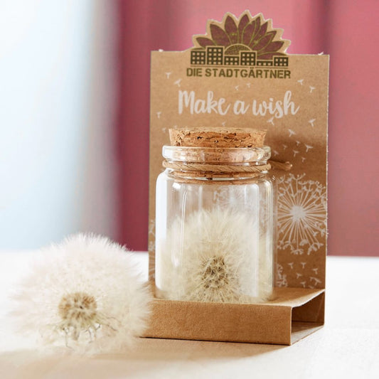 Make a wish - soffione in vasetto