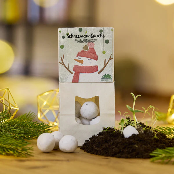 Bombe di semi - pupazzo di neve