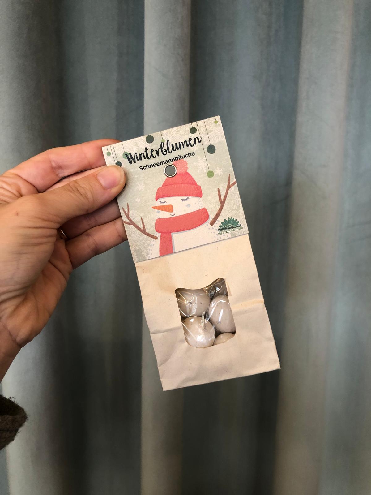 Bombe di semi - pupazzo di neve