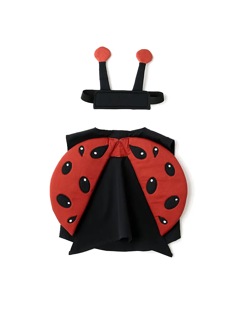 Ladybug