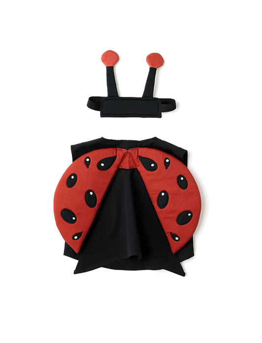 Ladybug