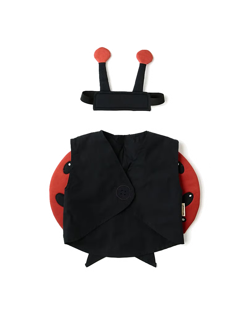 Ladybug