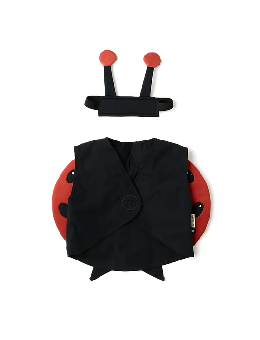 Ladybug