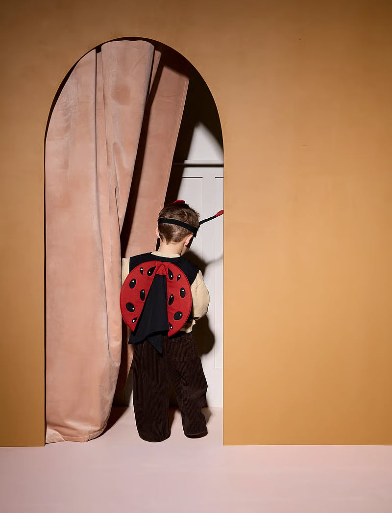 Ladybug