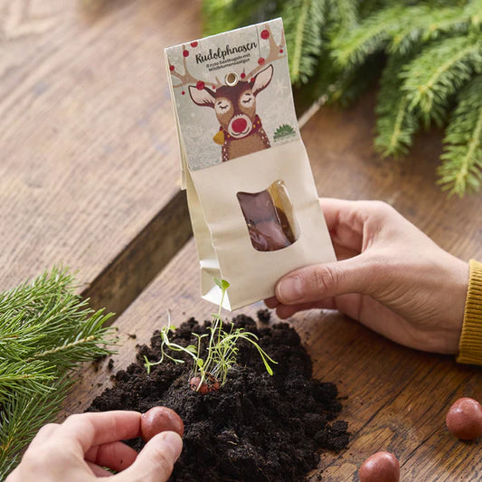 Bombe di semi - Rudolph