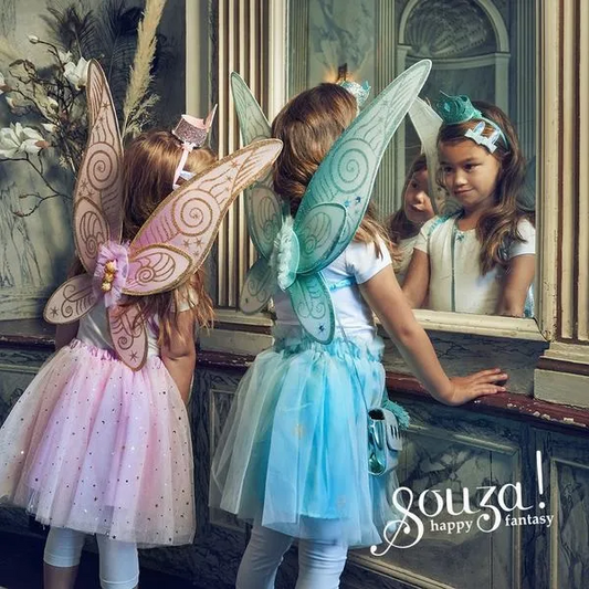 Costume Gonna e Ali Elfo Fata Angelina 3-5 anni