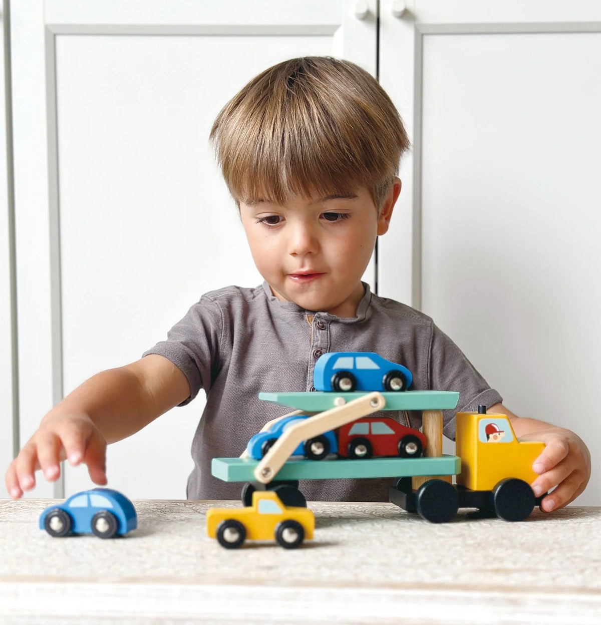Vehicle transporter